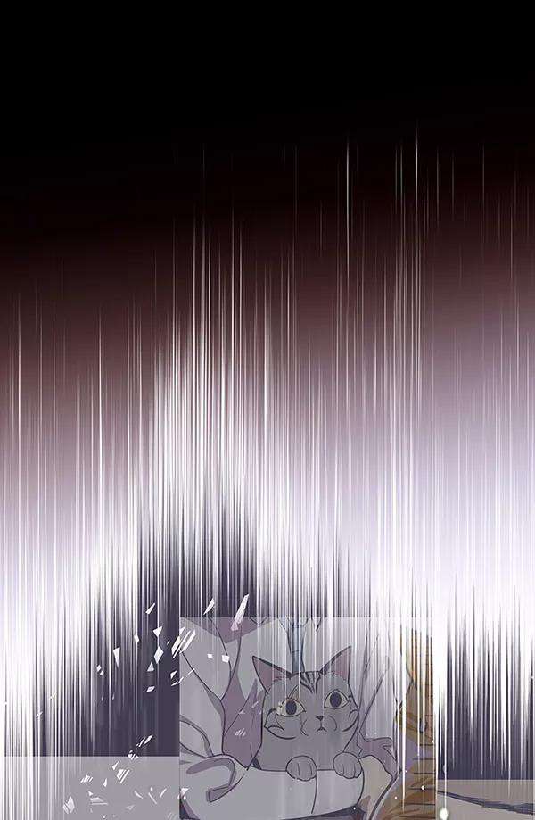 觉醒吧，铲屎官！12话