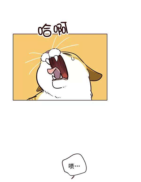 觉醒吧，铲屎官！12话