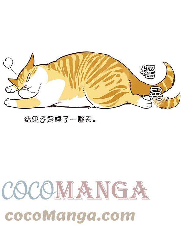 觉醒吧，铲屎官！12话