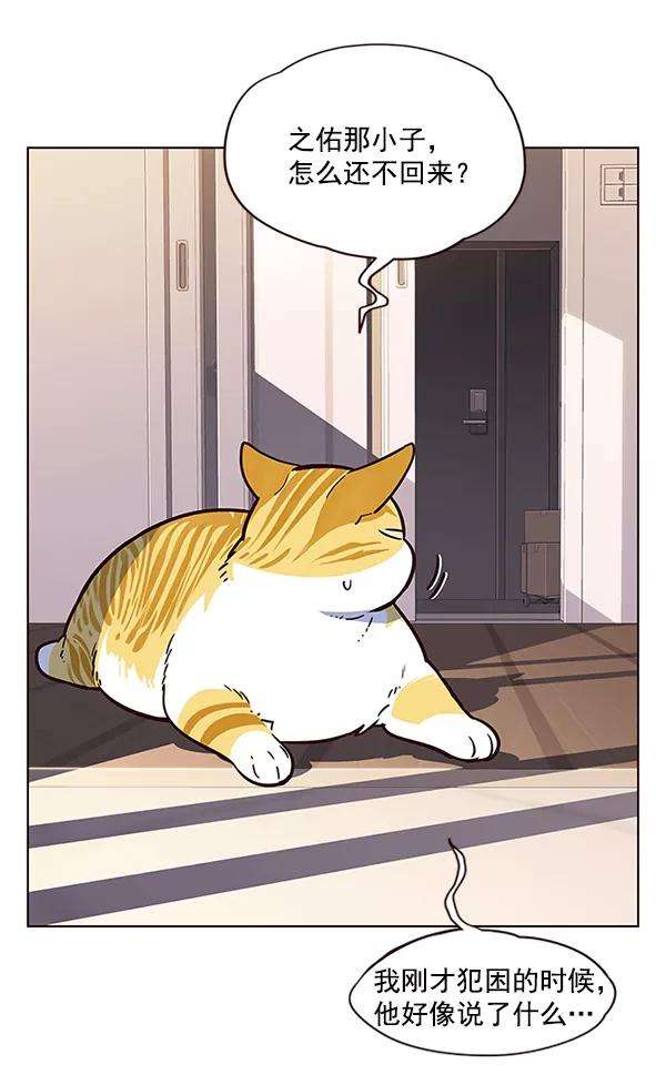 觉醒吧，铲屎官！12话