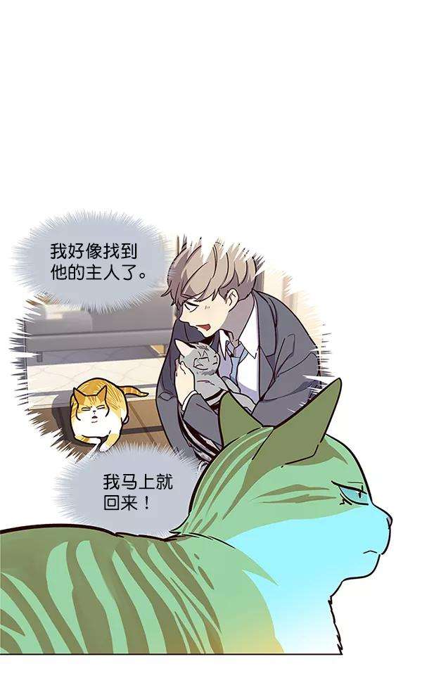 觉醒吧，铲屎官！12话