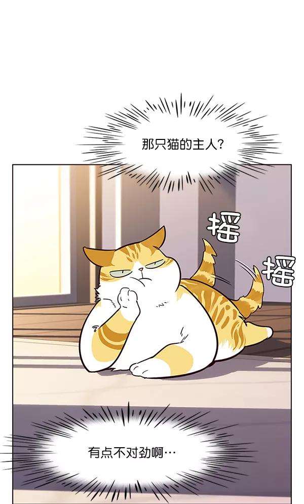 觉醒吧，铲屎官！12话