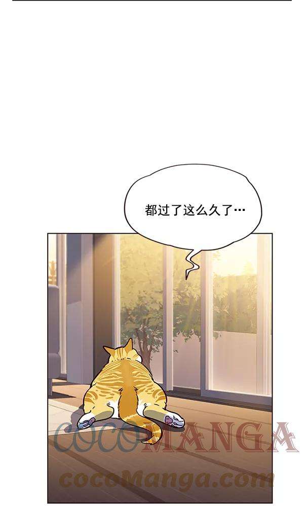 觉醒吧，铲屎官！12话