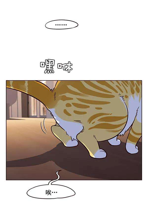 觉醒吧，铲屎官！12话