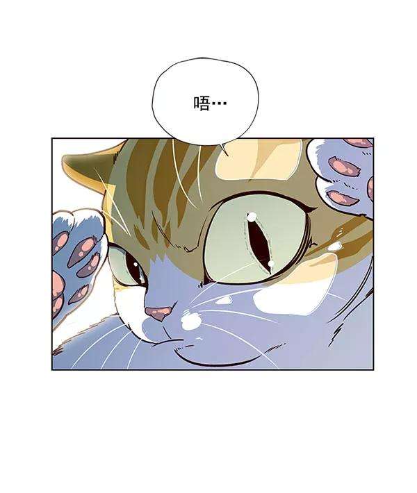 觉醒吧，铲屎官！13话