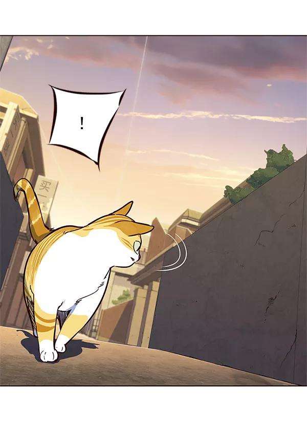 觉醒吧，铲屎官！13话