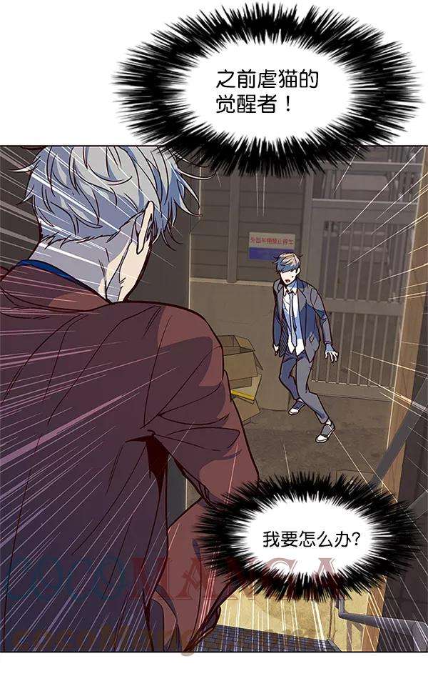 觉醒吧，铲屎官！13话