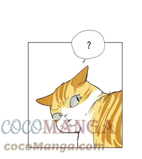 觉醒吧，铲屎官！13话