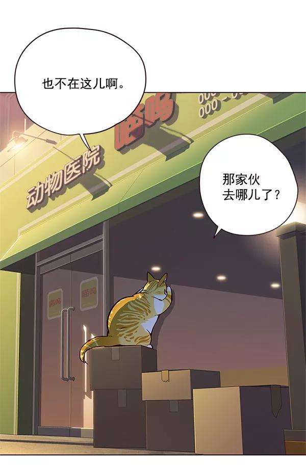 觉醒吧，铲屎官！13话