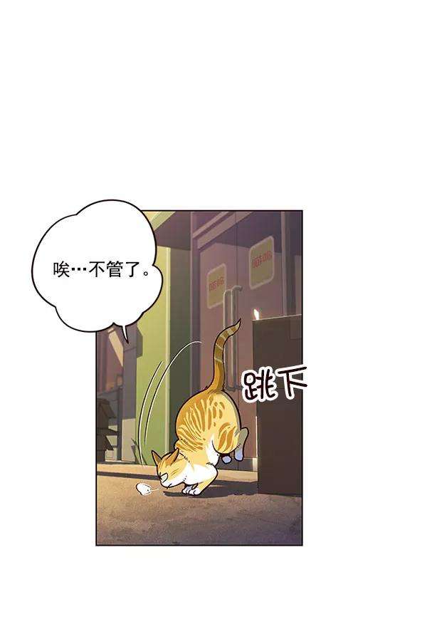 觉醒吧，铲屎官！13话