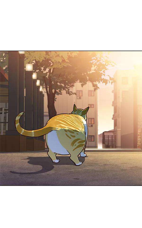 觉醒吧，铲屎官！13话