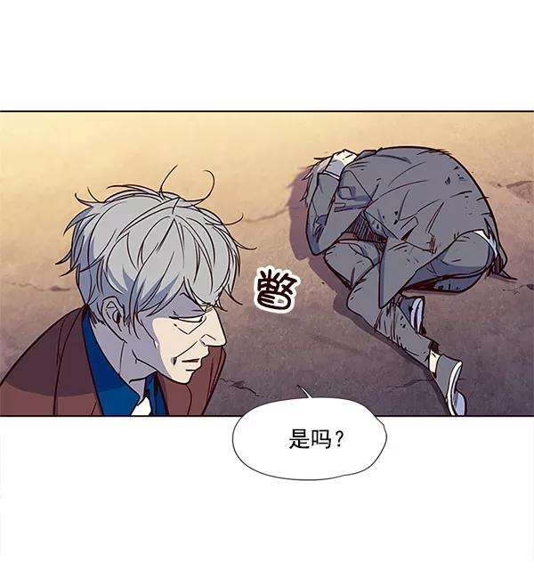 觉醒吧，铲屎官！13话