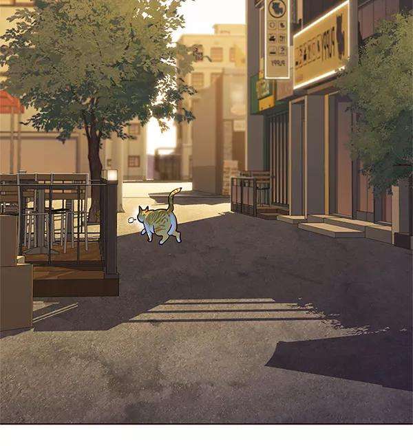 觉醒吧，铲屎官！13话