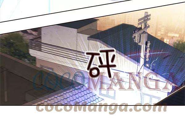 觉醒吧，铲屎官！14话