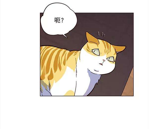 觉醒吧，铲屎官！14话