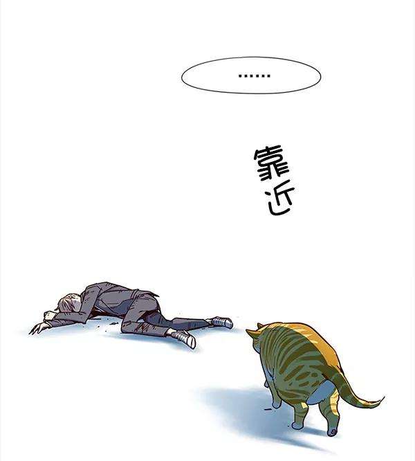 觉醒吧，铲屎官！14话