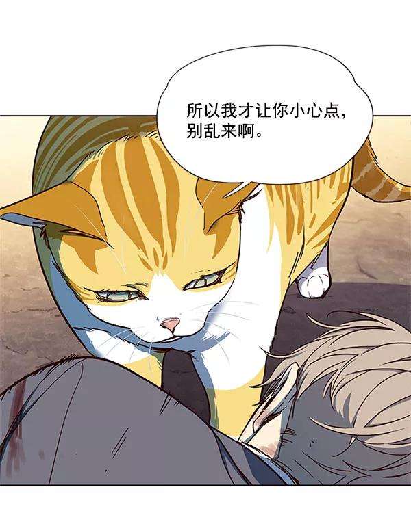 觉醒吧，铲屎官！14话