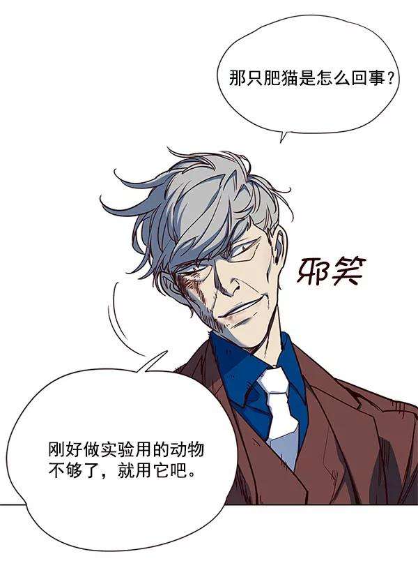 觉醒吧，铲屎官！14话