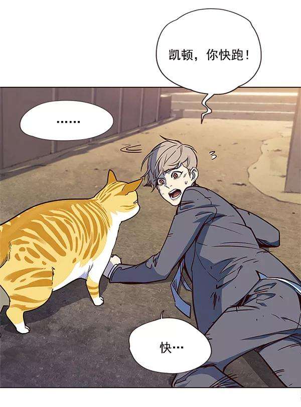觉醒吧，铲屎官！14话