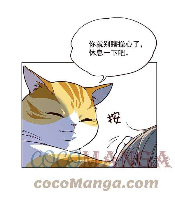 觉醒吧，铲屎官！14话