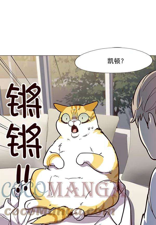 觉醒吧，铲屎官！15话