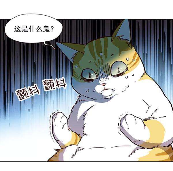 觉醒吧，铲屎官！15话