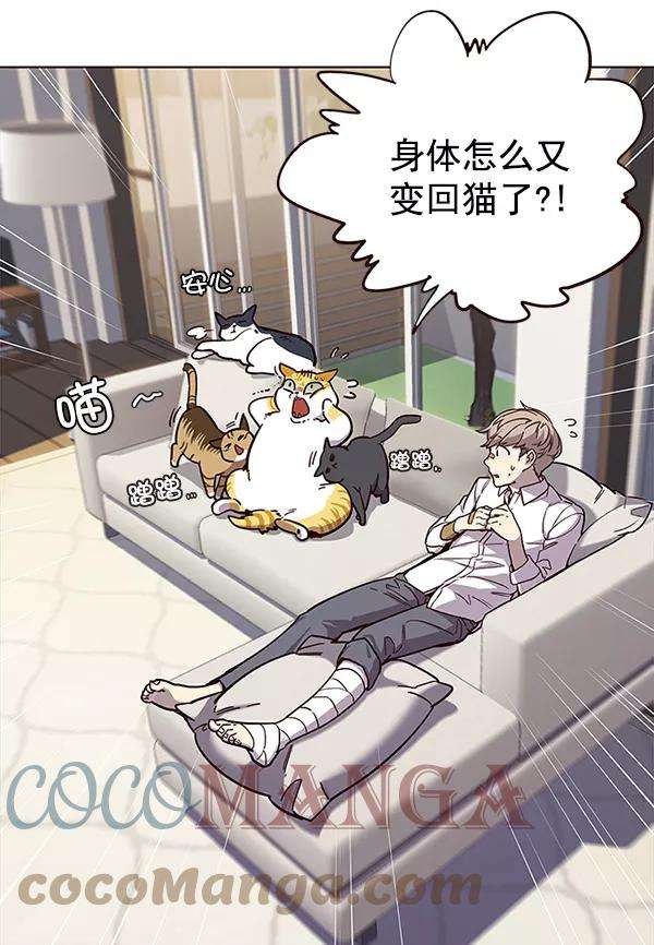 觉醒吧，铲屎官！15话