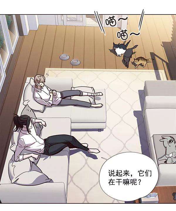 觉醒吧，铲屎官！15话