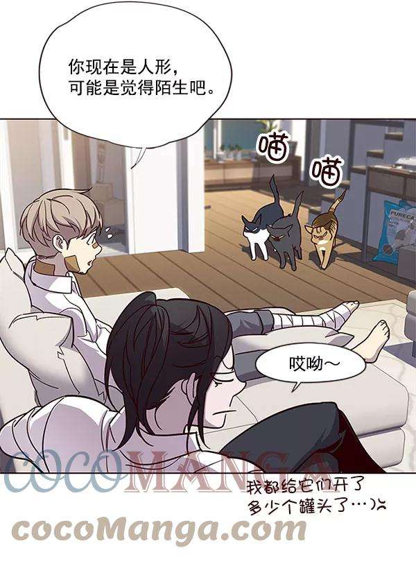 觉醒吧，铲屎官！15话