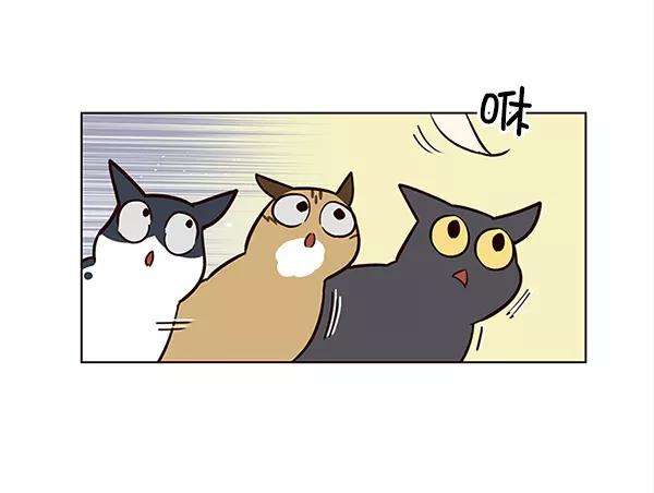 觉醒吧，铲屎官！16话