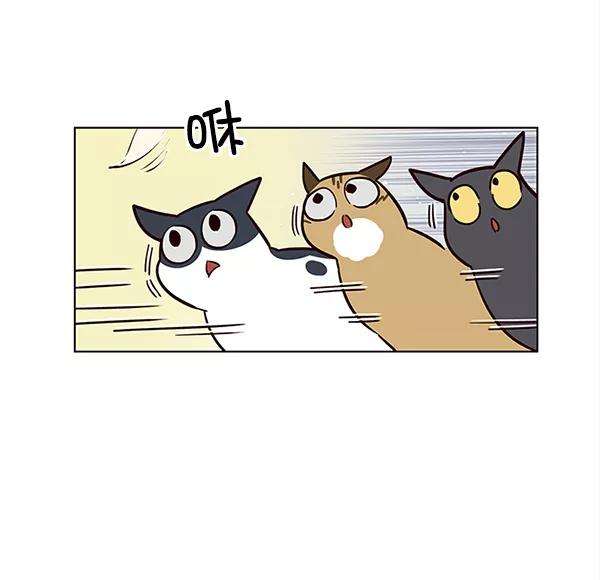 觉醒吧，铲屎官！16话