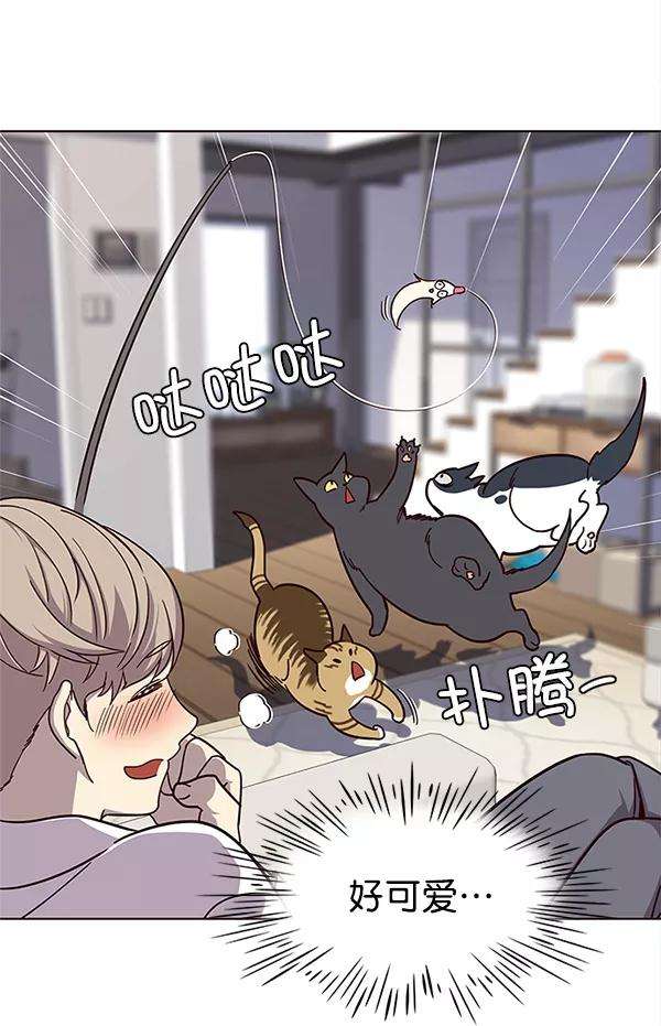 觉醒吧，铲屎官！16话