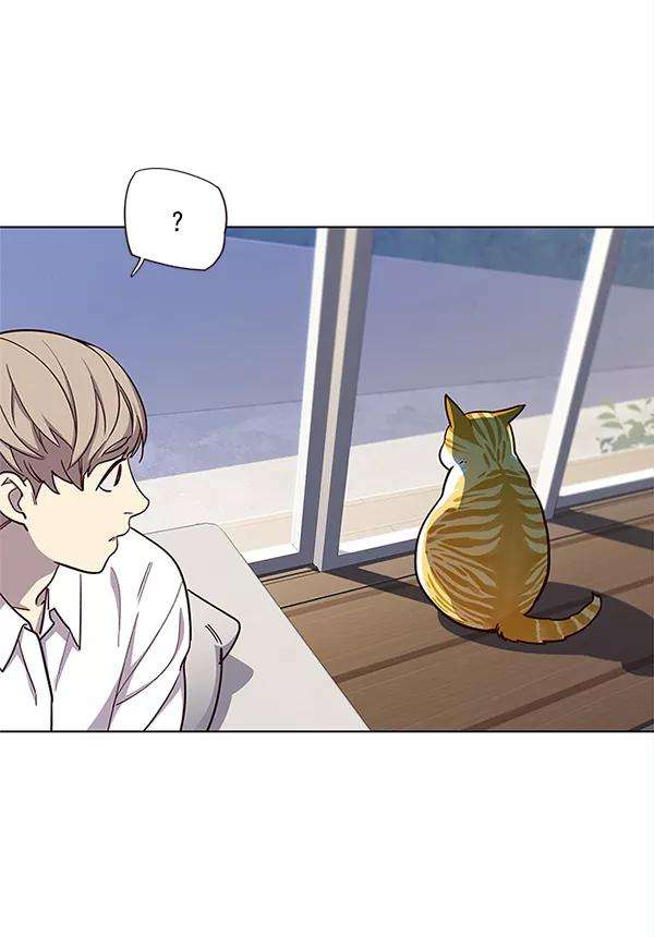 觉醒吧，铲屎官！16话