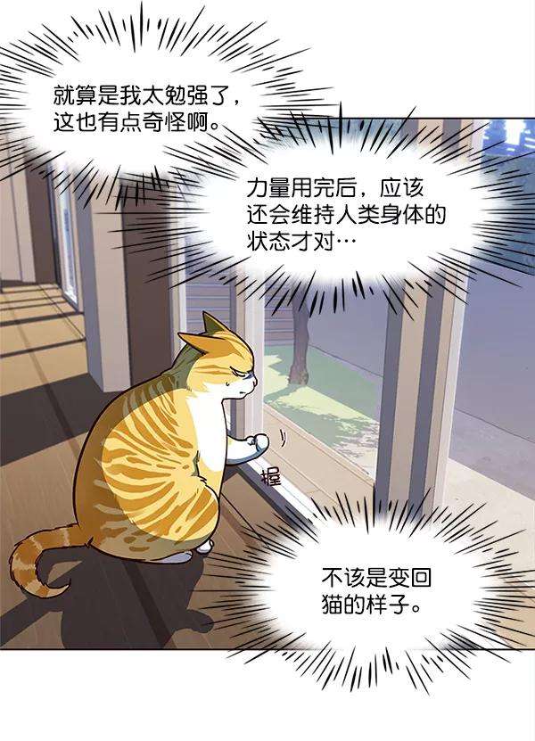 觉醒吧，铲屎官！16话