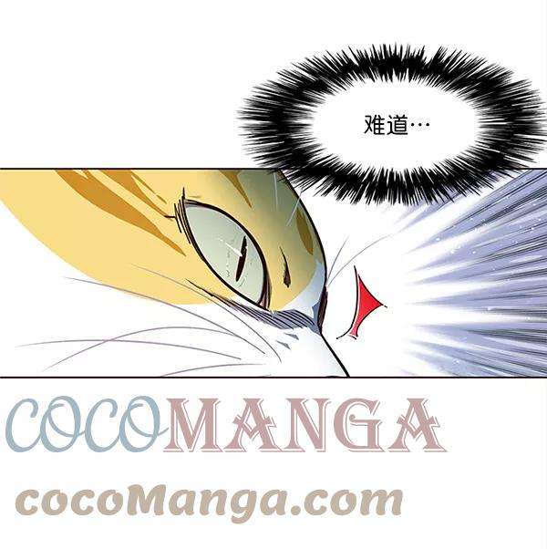 觉醒吧，铲屎官！16话