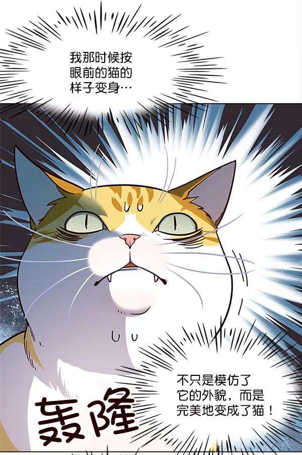 觉醒吧，铲屎官！16话