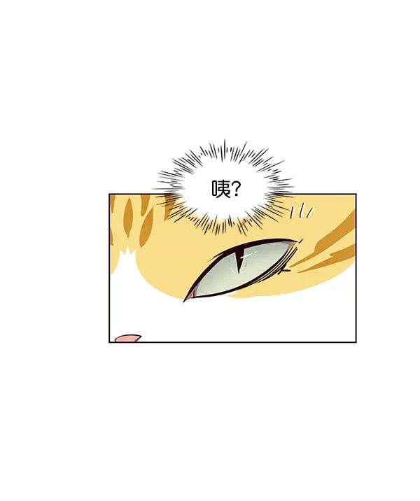 觉醒吧，铲屎官！16话