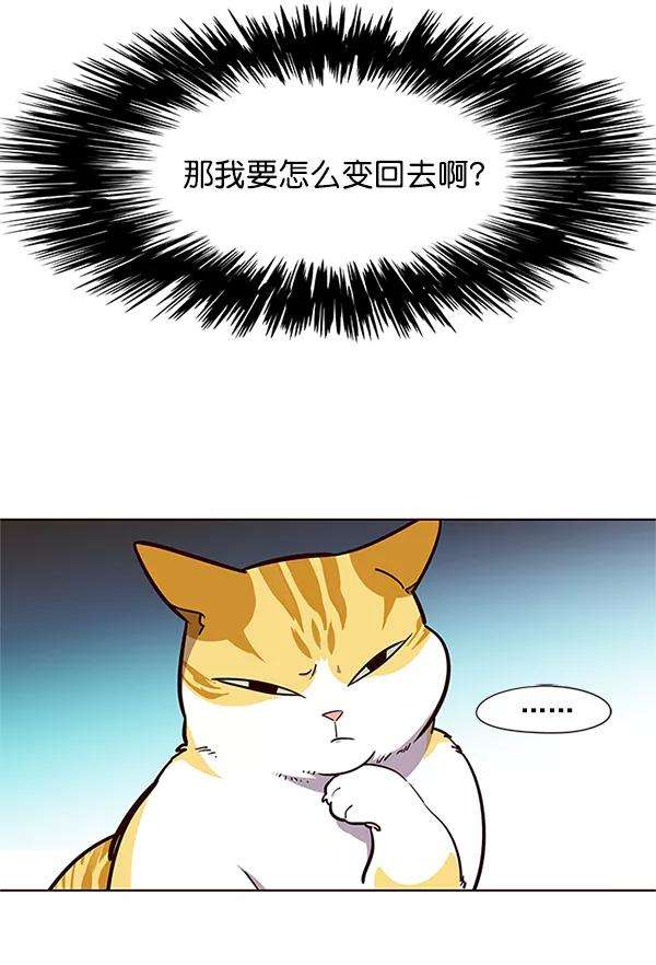 觉醒吧，铲屎官！16话