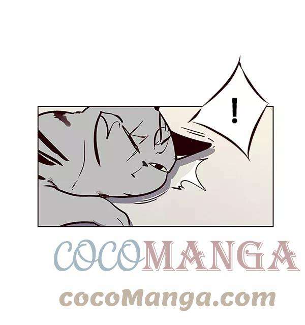 觉醒吧，铲屎官！16话