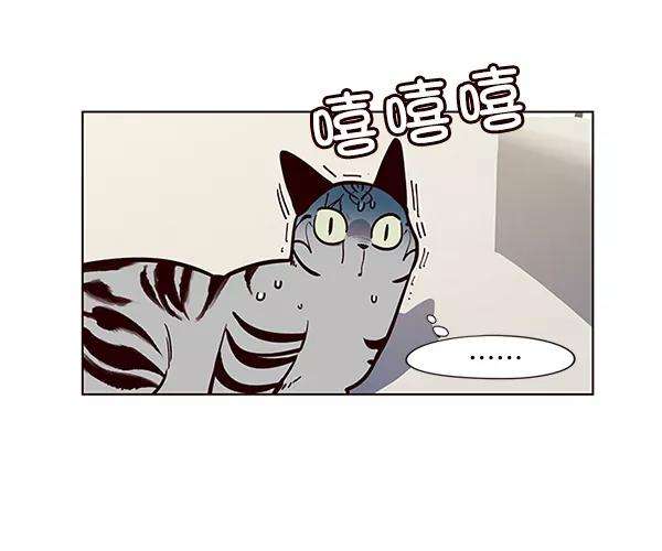 觉醒吧，铲屎官！16话