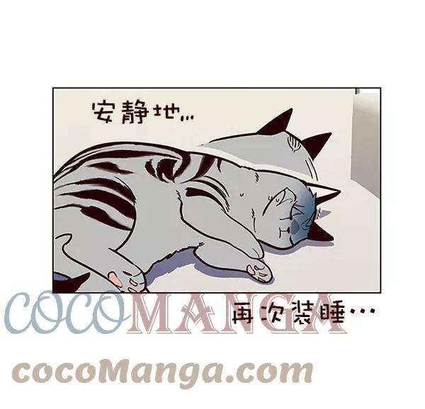 觉醒吧，铲屎官！16话