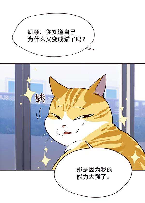 觉醒吧，铲屎官！16话