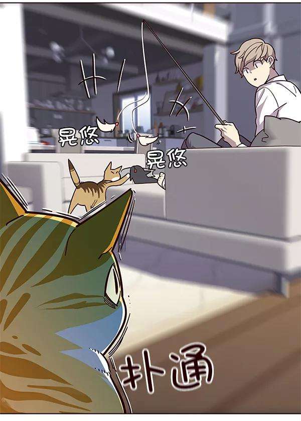 觉醒吧，铲屎官！16话