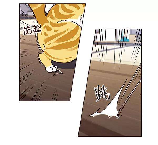 觉醒吧，铲屎官！16话