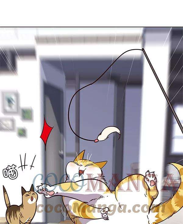 觉醒吧，铲屎官！16话