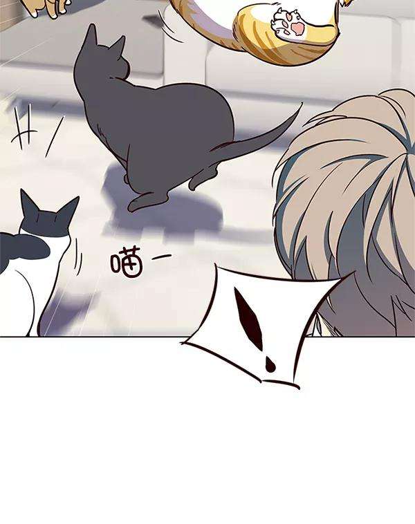 觉醒吧，铲屎官！16话