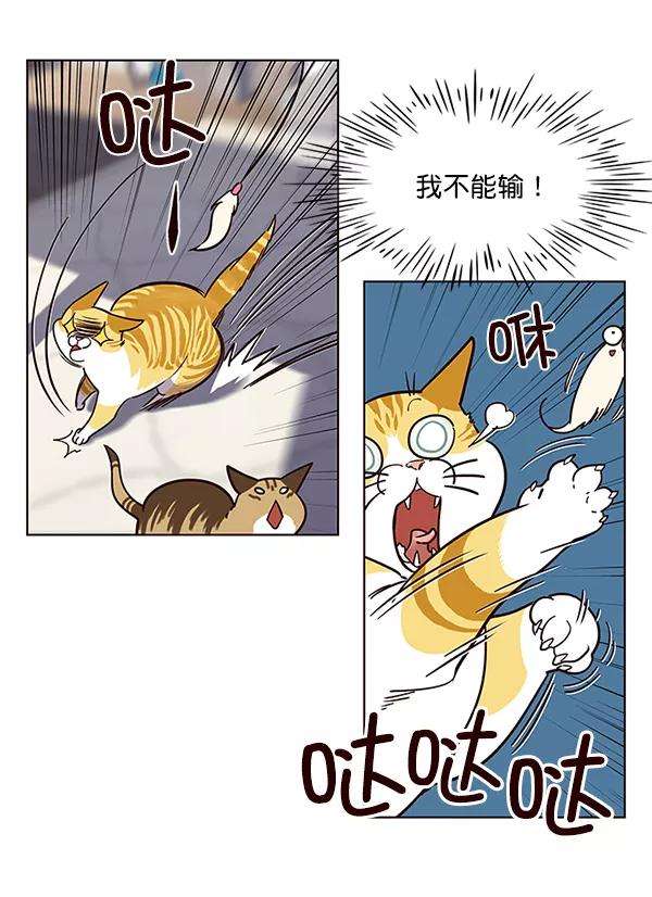 觉醒吧，铲屎官！16话