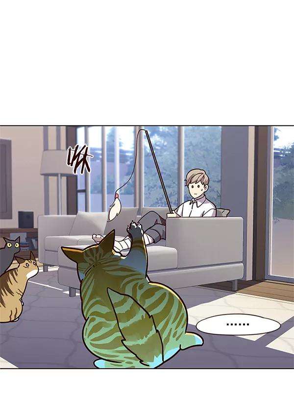 觉醒吧，铲屎官！16话