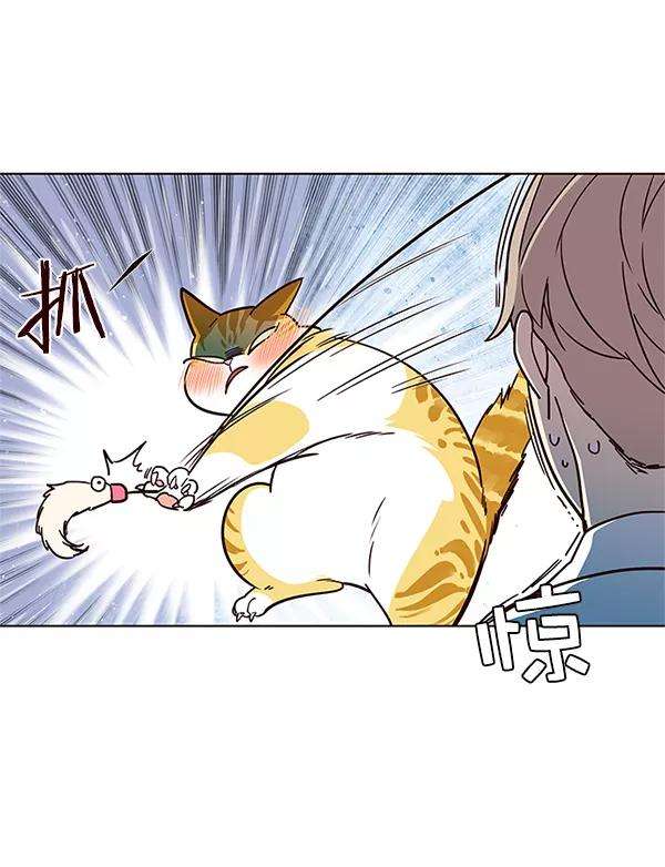 觉醒吧，铲屎官！16话