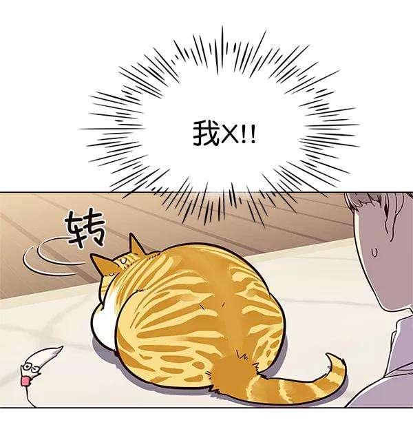 觉醒吧，铲屎官！16话